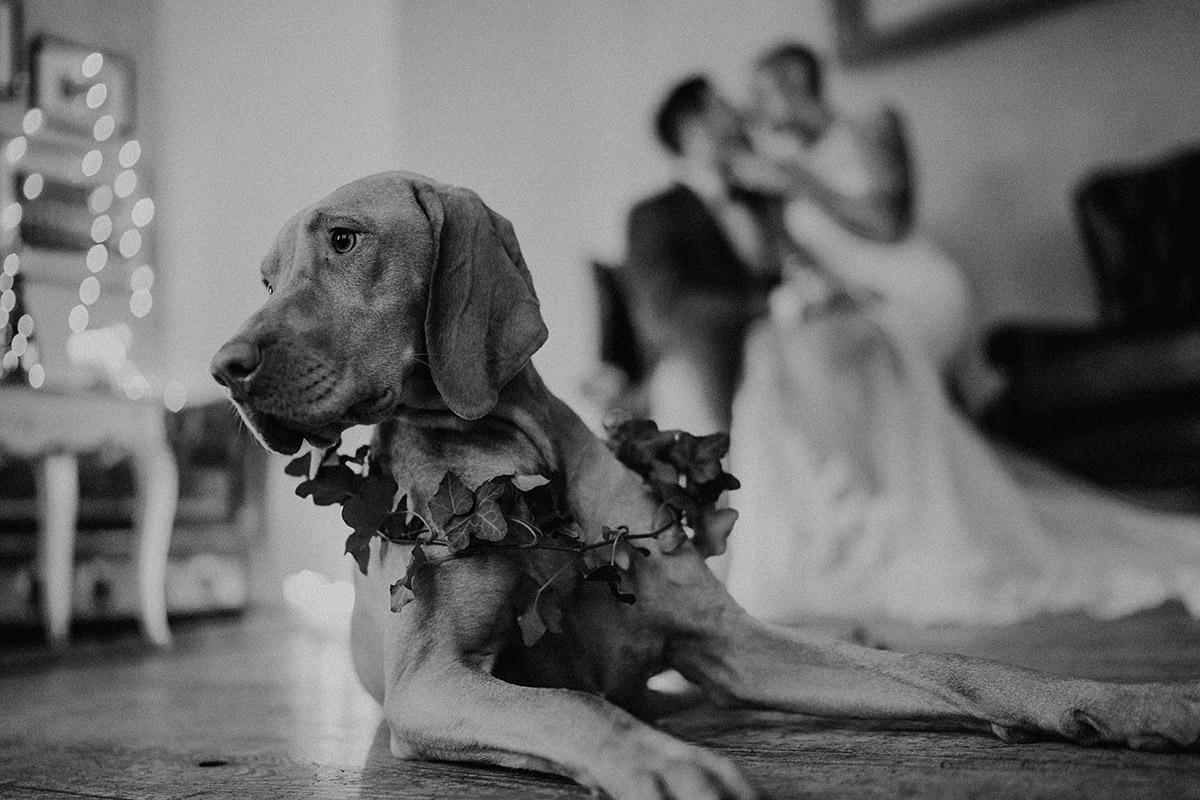 Indie Hochzeit mit Hund - The Grand Berlin Hochzeitsfotograf © www.hochzeitslicht.de