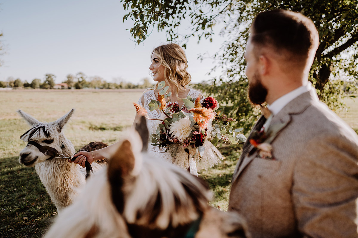 Idee Brautstrauß Herbsthochzeit orange, rot, creme - Hochzeitsfotografin aus Berlin fotografiert After Wedding Shooting mit Alpakas in Brandenburg © Hochzeitsfotograf Berlin www.hochzeitslicht.de