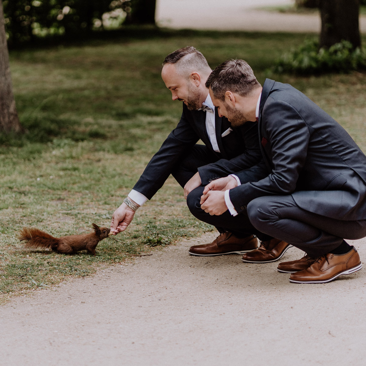 Hochzeit Fotos Idee lustig: Eichhörnchen lässt sich von Bräutigam füttern auf homo Hochzeit Männer; Fotoshooting #gleichgeschlechtlich nach Standesamt Villa Kogge in Natur in Park; Ideen für urbane schwule Hochzeitsfotos von #hochzeitslicht Hochzeitsfotograf Berlin © www.hochzeitslicht.de #gaywedding #grooms #samesex #homoehe #funny #gayweddingphoto #squirrel #wedding