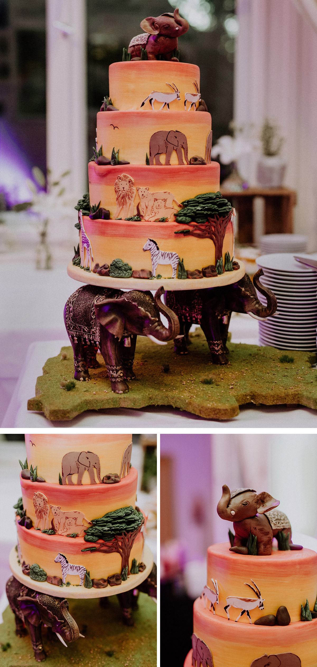 Hochzeitstorte ausgefallen: farbig tropische Motive pink orange Fondant Torte mit afrikanischen Tieren © www.hochzeitslicht.de Hochzeitsfotograf Berlin #hochzeitslicht #weddingcake Hochzeitstorte ausgefallen: farbig tropische Motive pink orange Fondant Torte mit afrikanischen Tieren © www.hochzeitslicht.de Hochzeitsfotograf Berlin #hochzeitslicht #weddingcake