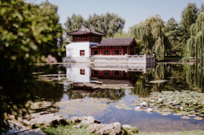 Hochzeit im Standesamt Berlin Gärten der Welt Chinesischer Garten